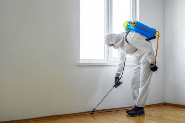 Best Wasp Removal Services  in Decatur, AR