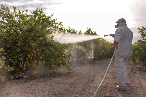 Best Wildlife Control Services  in Decatur, AR