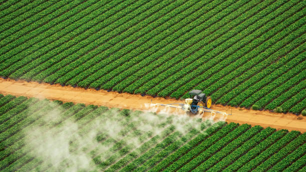 Best Best Pest Control Companies  in Decatur, AR