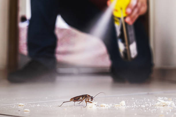 Pest Control for Restaurants in Decatur, AR