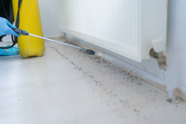 Best Best Pest Control Companies  in Decatur, AR