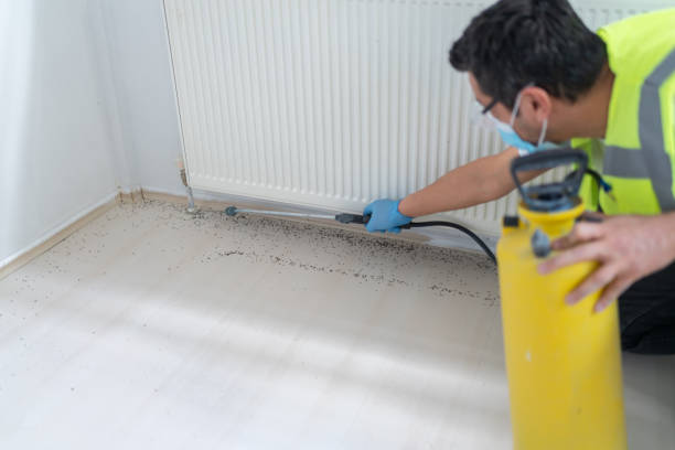Best Pest Control Near Me  in Decatur, AR