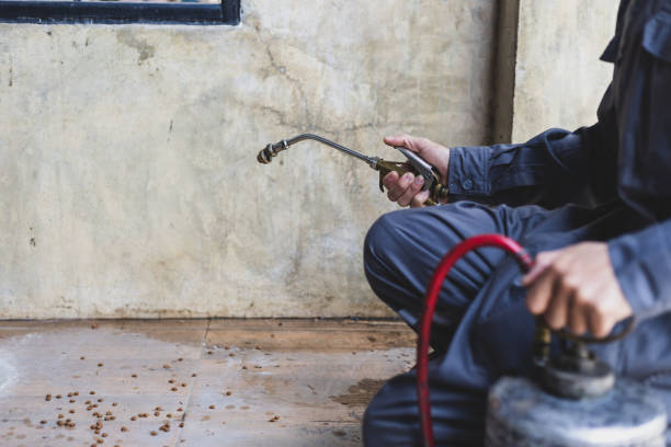 Best Affordable Exterminators  in Decatur, AR
