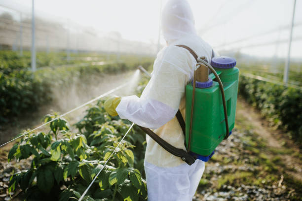 Best Pest Inspection Near Me  in Decatur, AR